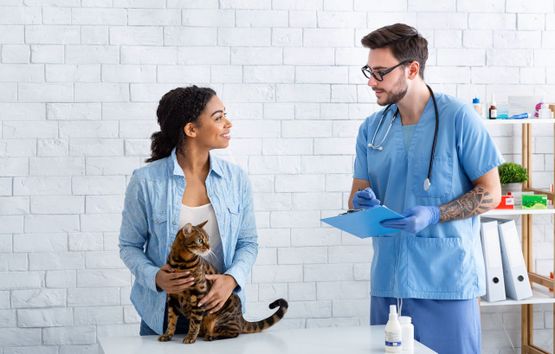 chica sonriente sosteniendo a su gato mientras habla con el veterinario